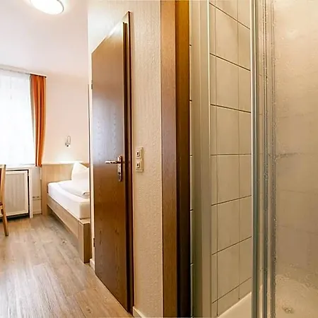 Zur Traube 호텔 3*
