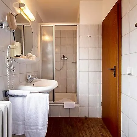 Zur Traube 호텔 3*