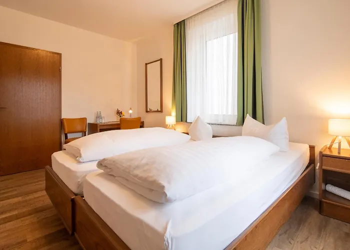 Hotel Zur Traube 3*