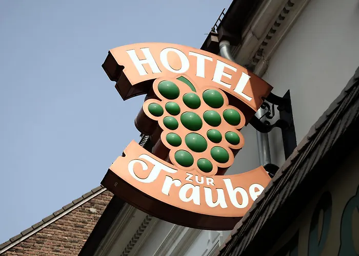 Hotel Zur Traube 3*